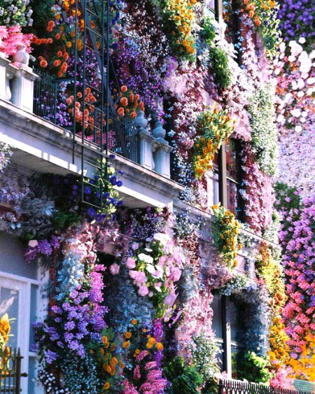 Beautiful nature