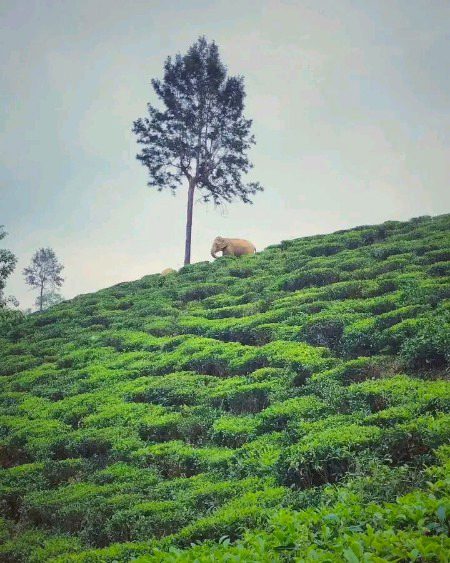 Beautiful Nature image