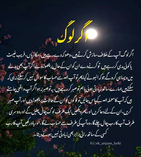 Motivational Quotes image