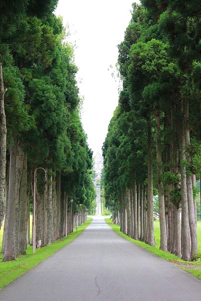 Beautiful Nature image