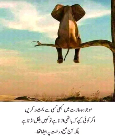 Jokes image