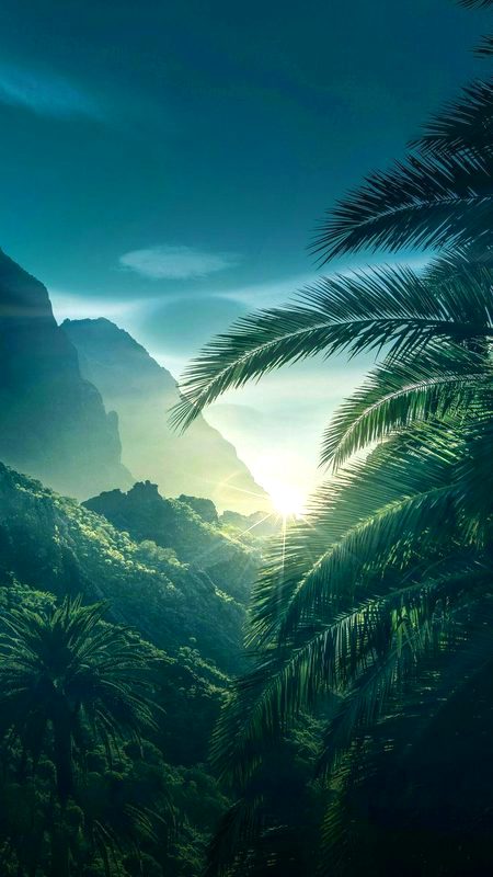 Beautiful Nature image