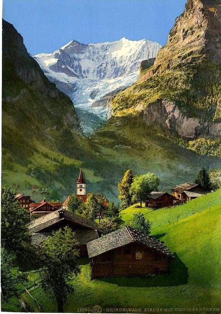 Beautiful Nature image