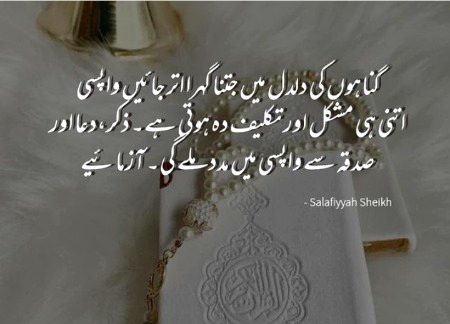 Islamic Quotes image