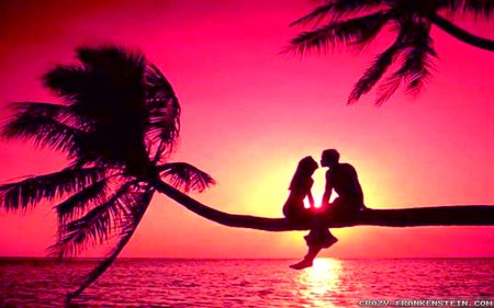 .q3🌼🌻🌺🌷 
How🌺🌷🌹 r 🌷🌻u🌻🌷 all🏵🌷
Good 🌼🌻nite🌷🌷