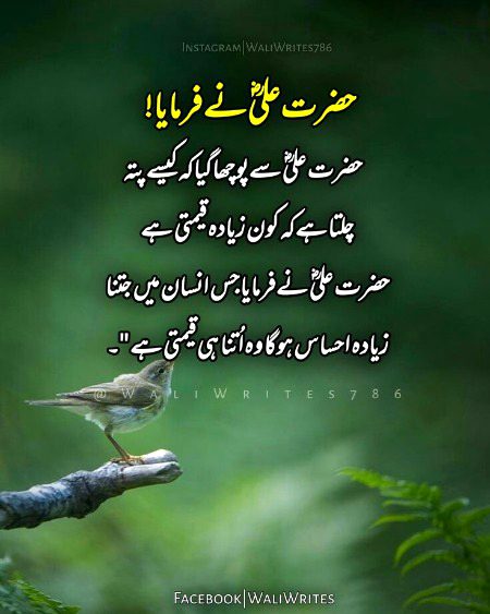 Islamic Quotes image