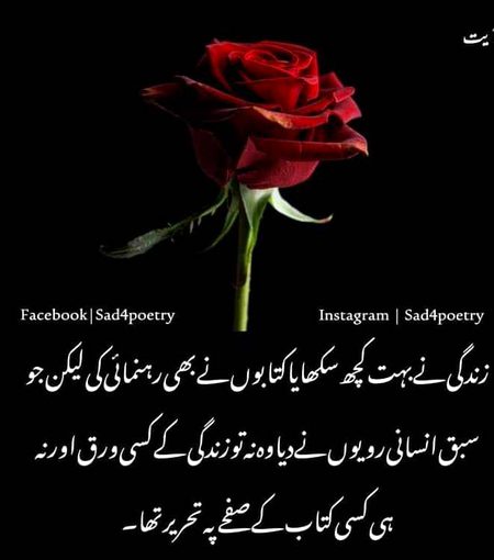 حال یہ ہے کے  تیری یاد میں گم ہوں ایسے۔۔!! 💞
سب کو میری اور مجھے  تیری پڑی رہتی ہے۔۔!!🔥