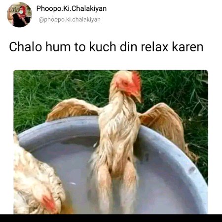 Memes & Satire image