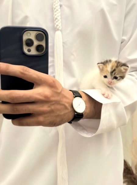 Beautiful Nature image