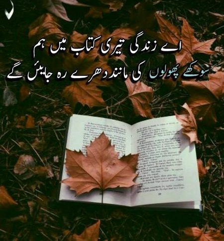 Sad Poetry image