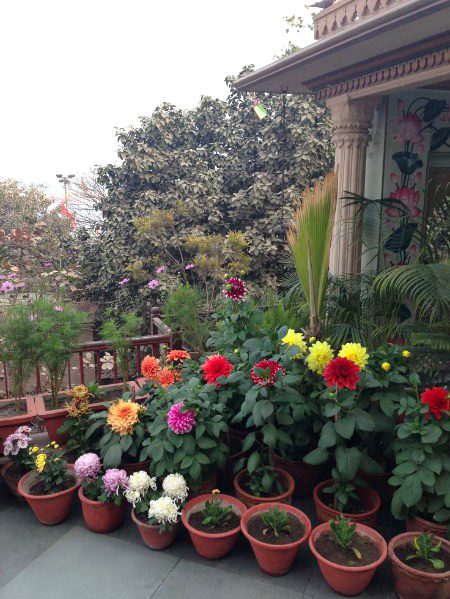 Beautiful Nature image