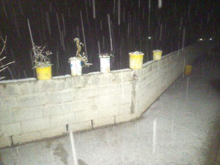 Beautiful Nature image