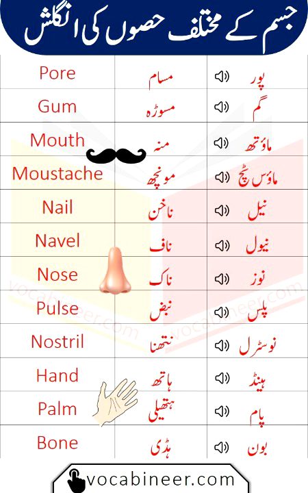 Tips for Students image