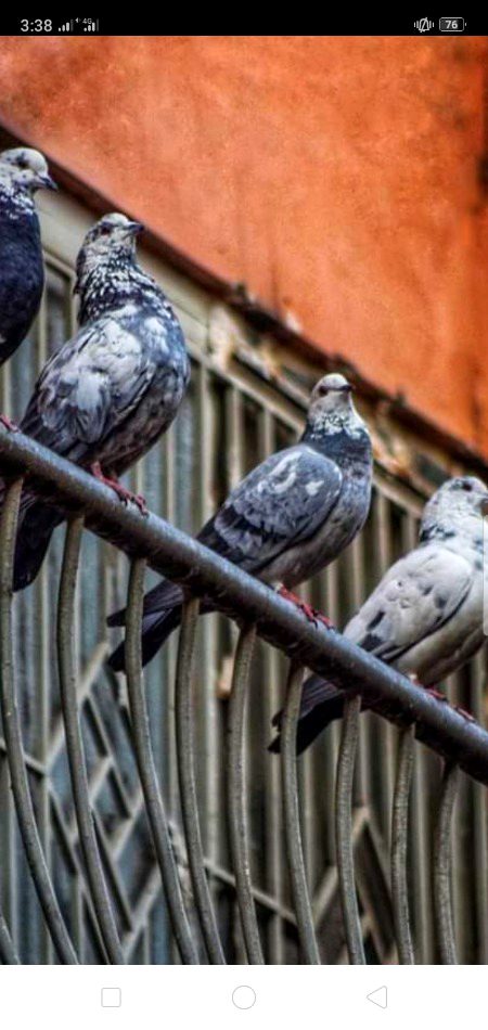 Beautiful Nature image