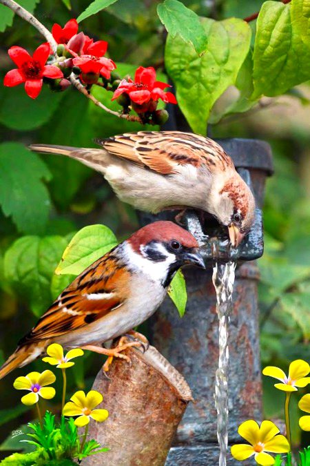 Nature..