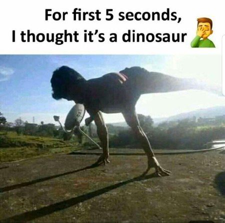 Memes & Satire image