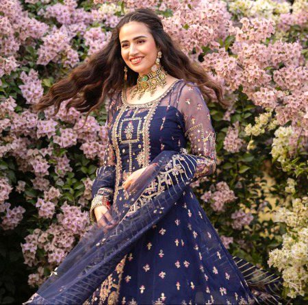 Pakistani Celebs image