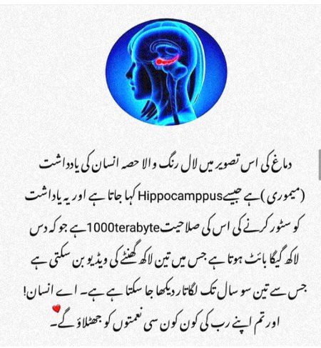 Tips for Students image