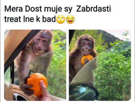 For my  lovely friend.....