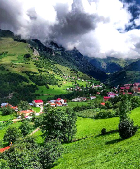 Beautiful Nature image