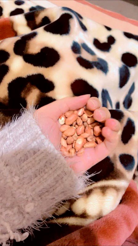 *اور پھر یہ سوچ کر صبر کرلیا میں نے❤️🩹🥺*
*سب کو سب کچھ نہیں ملتا 💔🥹*