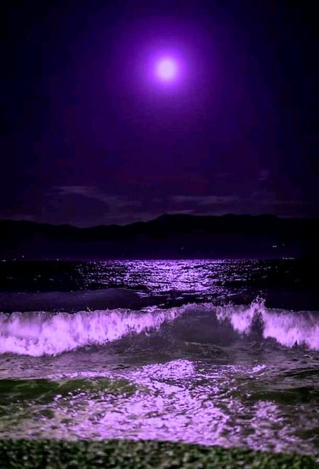 اک پورے چاند کی رات ہو 
تیرے ہاتھ میں میرا ہاتھ ہو
جُگنو