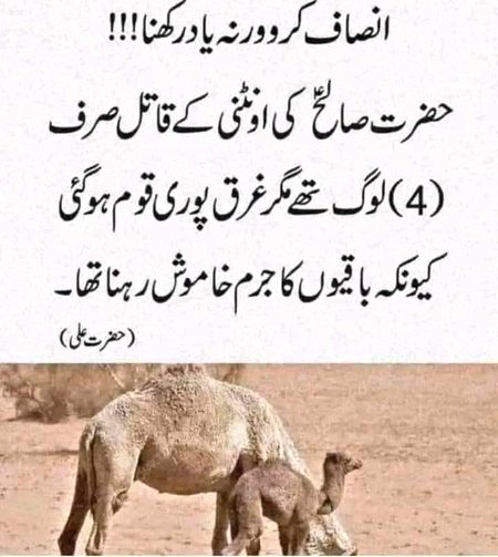 Motivational Quotes image