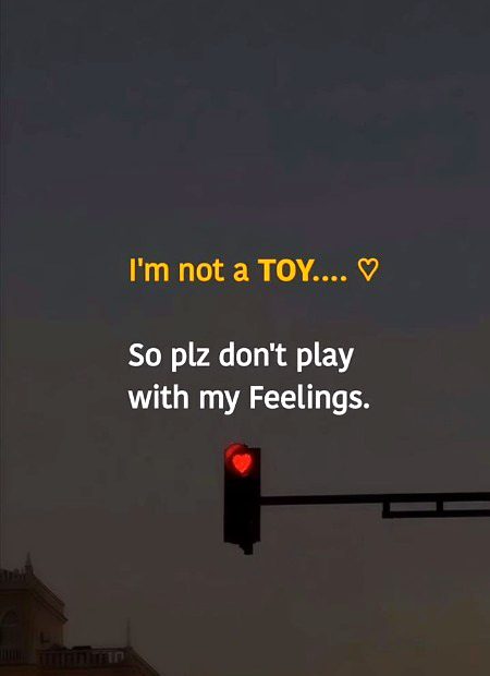 I'm not a toy 🧸