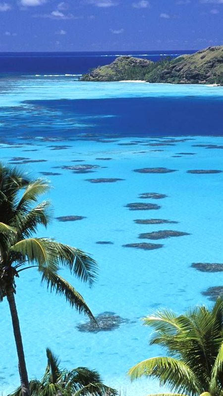 Beautiful Nature image