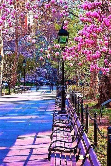 Beautiful Nature image