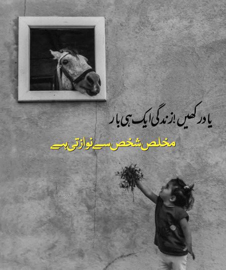 یادیں زندگی کا وہ حسین لمحہ ہیں جو کبھی دہرایا نہیں جاتا۔✨