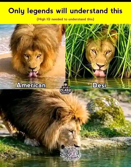 legends smj jaingey bqi sb pogo dkehey