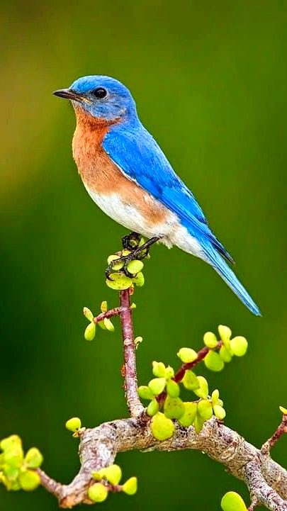 Beautiful Nature image