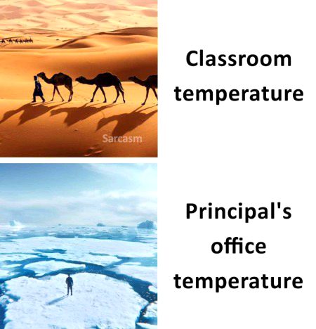 Memes & Satire image
