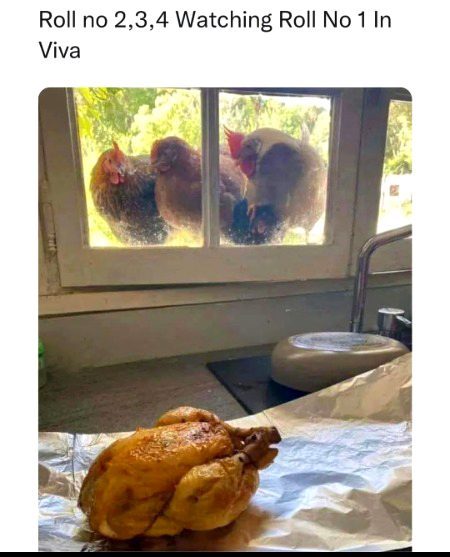 Memes & Satire image