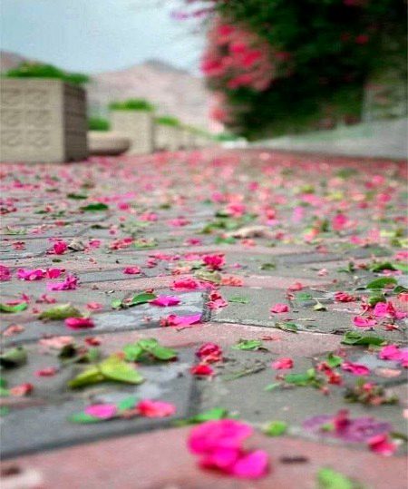 Beautiful Nature image