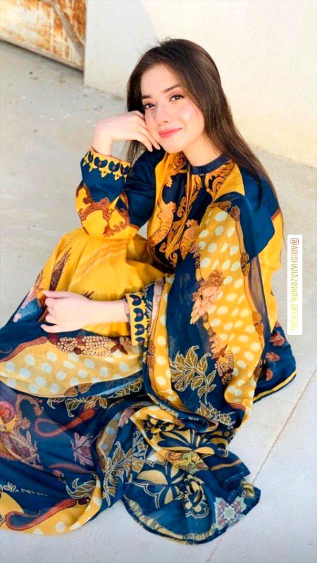 Pakistani Celebs image