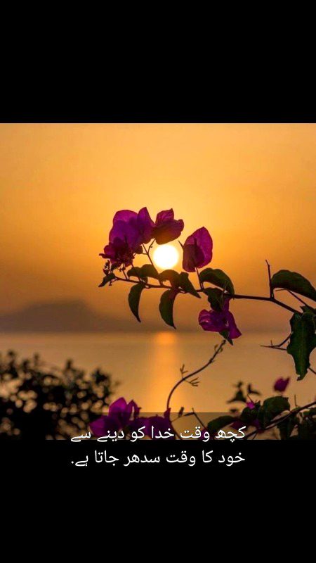 Islamic Quotes image