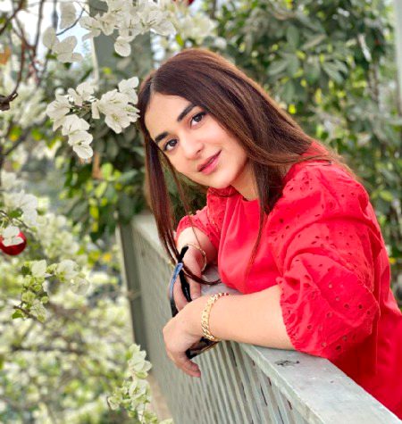 Pakistani Celebs image