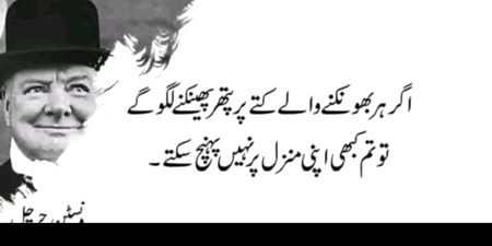 Muskii jana