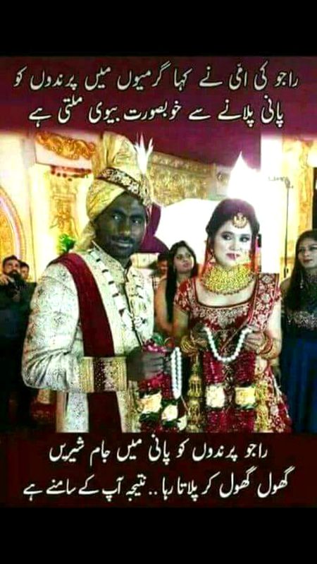 Memes & Satire image