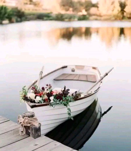 الٹی پڑی ہیں ریت پر سب کشتیاں میری!!!🥀
کوئی لے گیا ہے دل سے  سمندر نکال کر!!!🥀