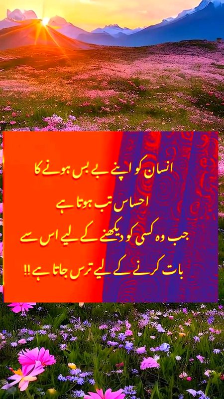 ❤️🖤💜❤️🖤💜❤️🖤