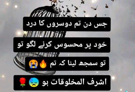 Bilkul 💯💯💯