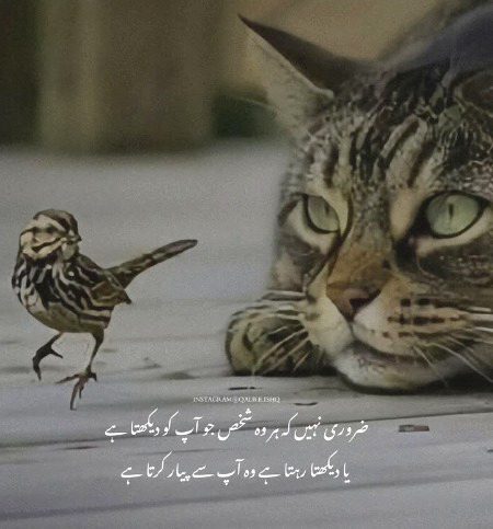 Life Advice image