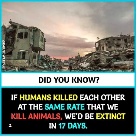 Interesting Posts image