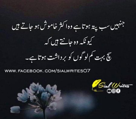 No caption