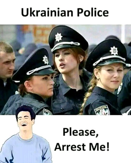 Memes & Satire image