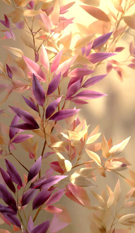 Beautiful Nature image