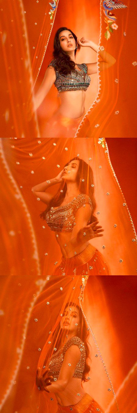 Indian Celebs image